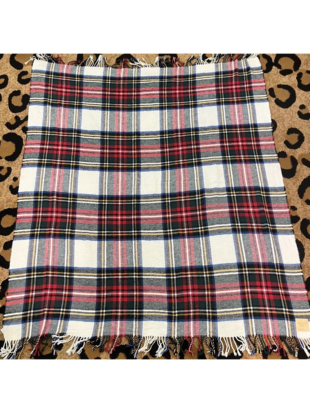 Nido Notte Italia Plaid Wool Blend Scarf with Fringe - Multicolor Tartan Pattern